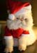 catchristmas